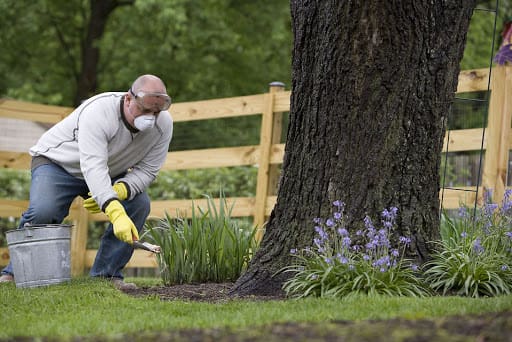 lawn fertilization