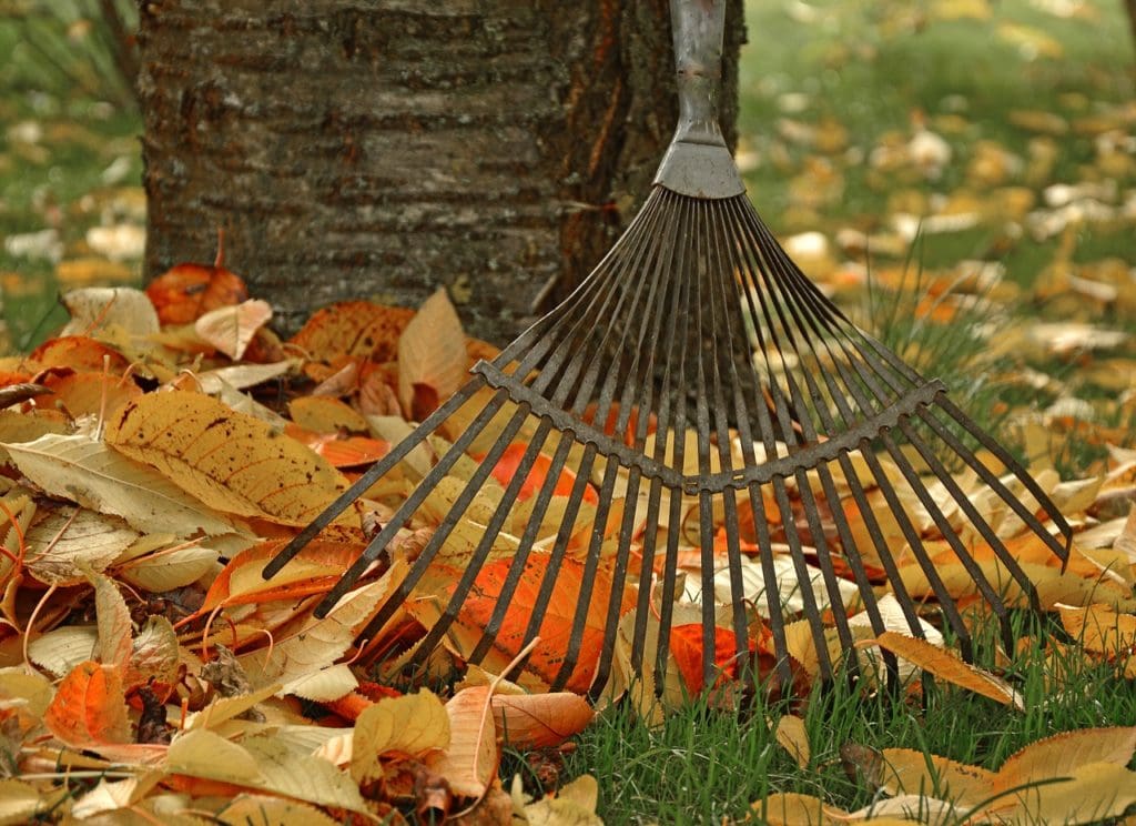 fall lawn maintenance