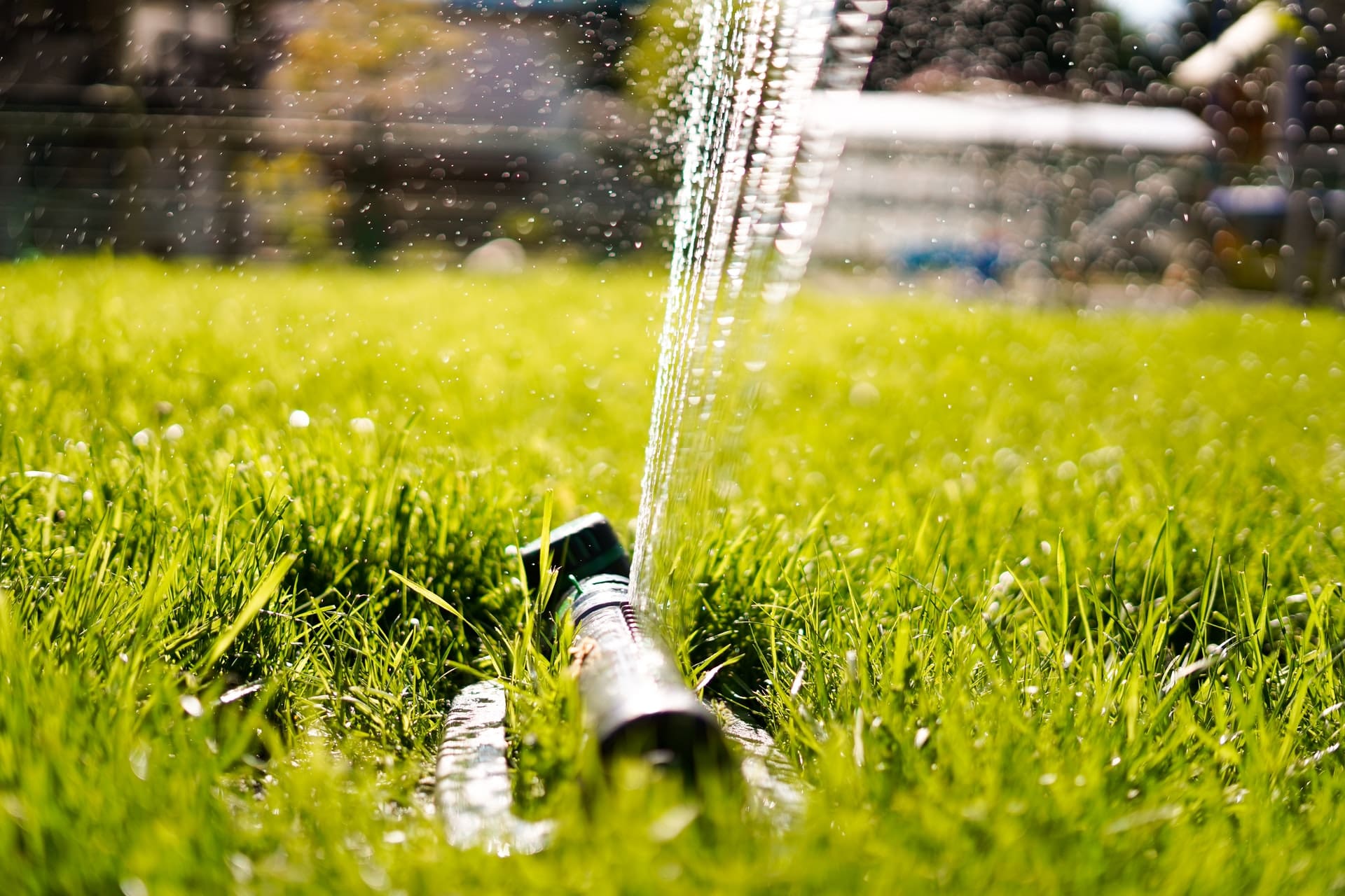 fall lawn maintenance