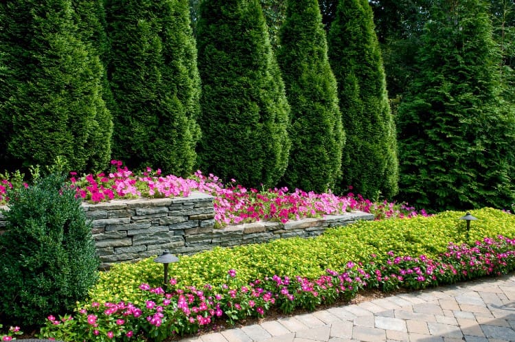 best-time-of-year-to-plant-shrubs