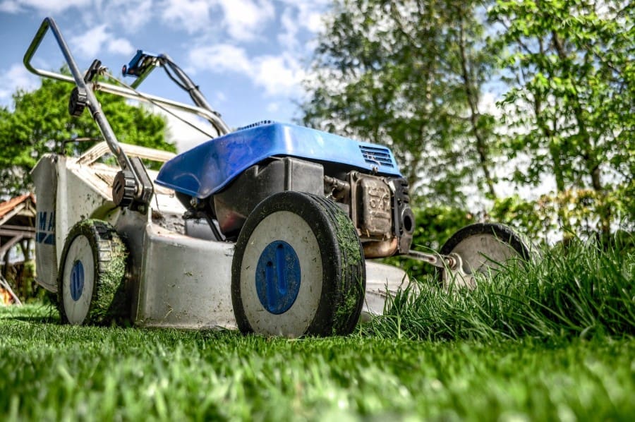 lawn-mowing-service