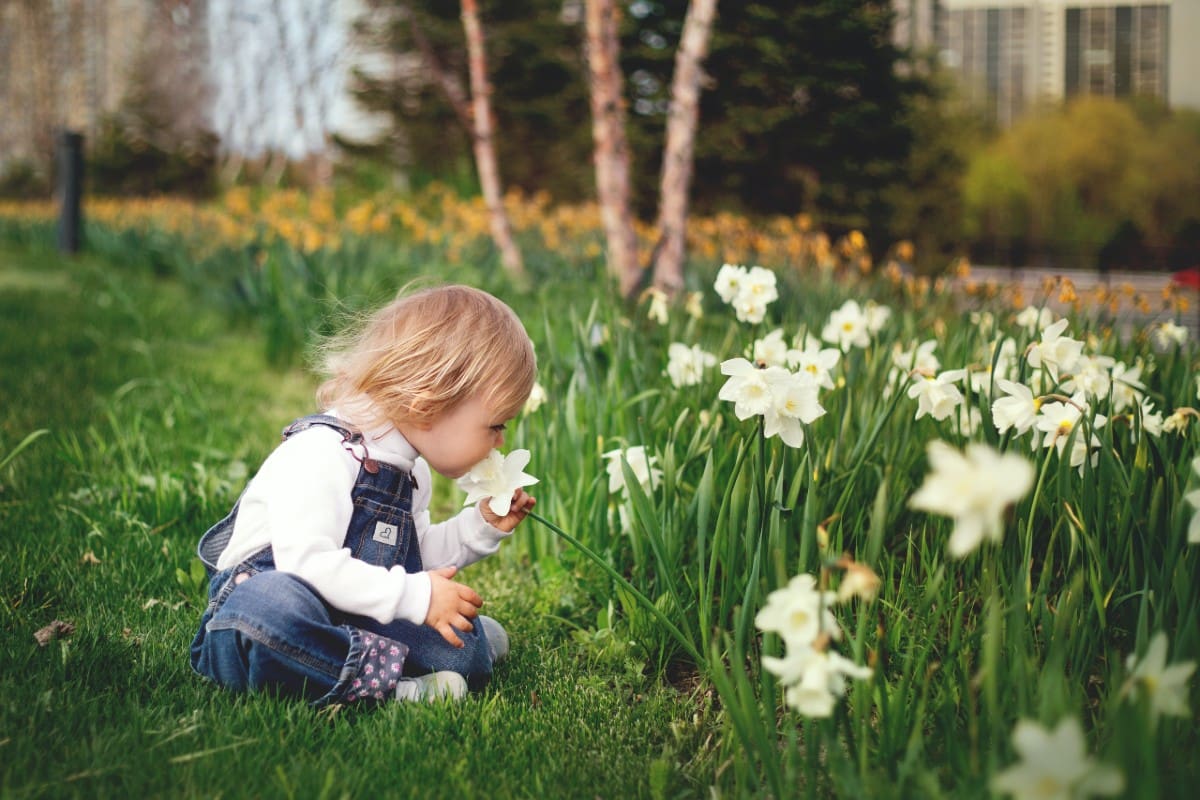 spring-lawn-clean-up