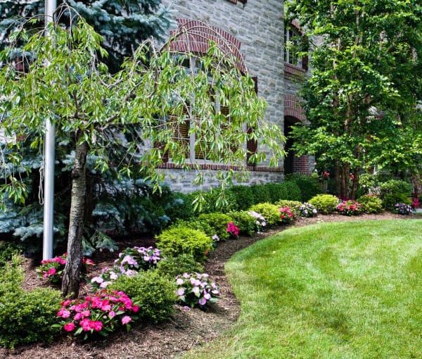 garden-design-and-landscaping