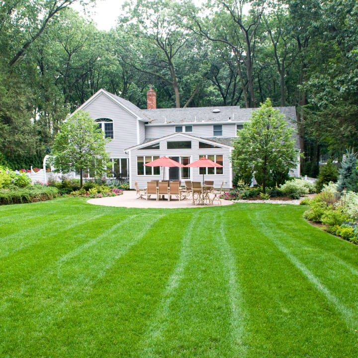 healthy-lawn