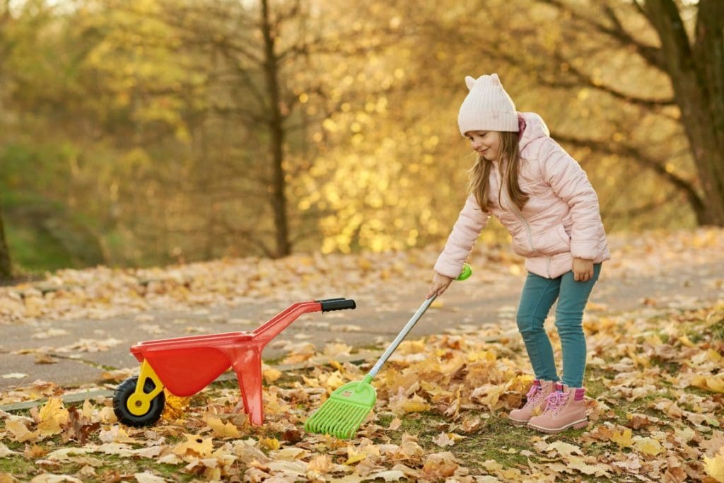 fall-clean-up-near-me