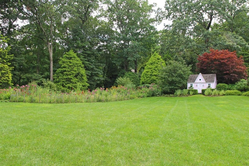 how to care for new lawn