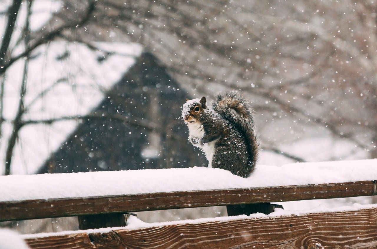 winter patio ideas