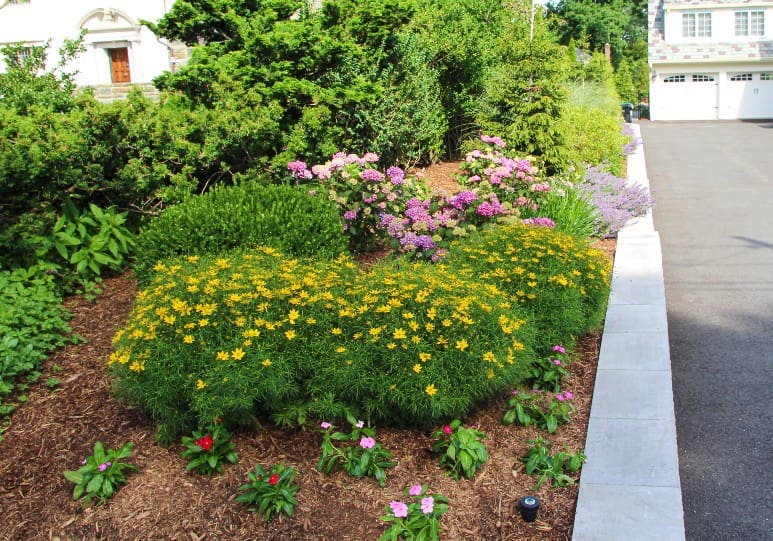 how to mulch over grass