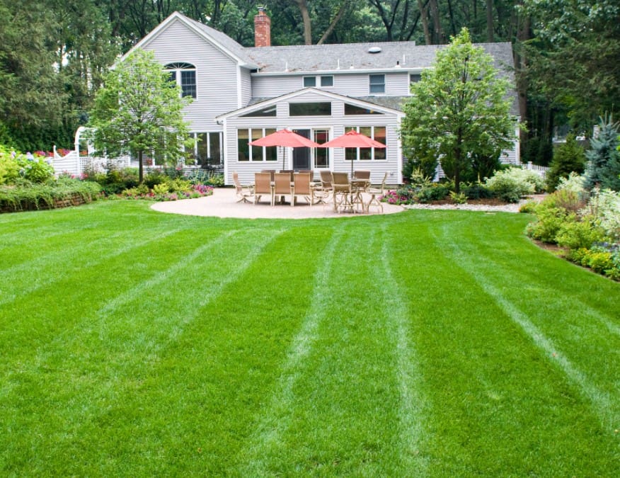 lawn fertilization