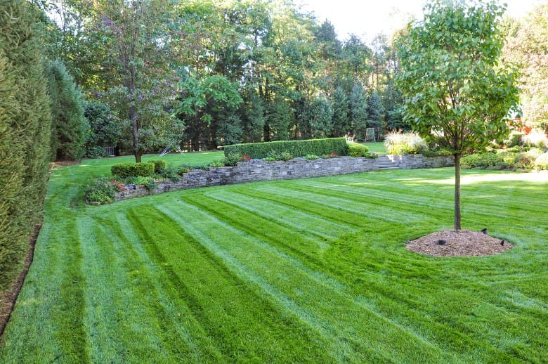 lawn nitrogen