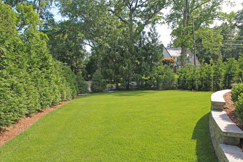 ways-to-tell-your-lawn-needs-fertilizer