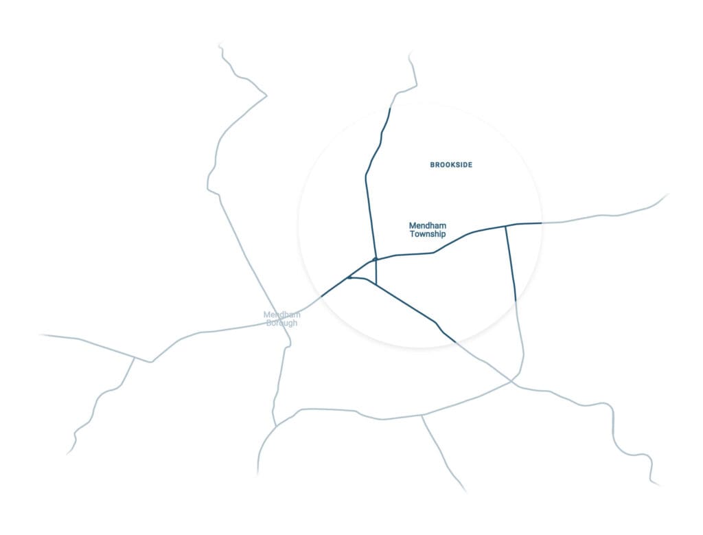 organic lawn care mendham township