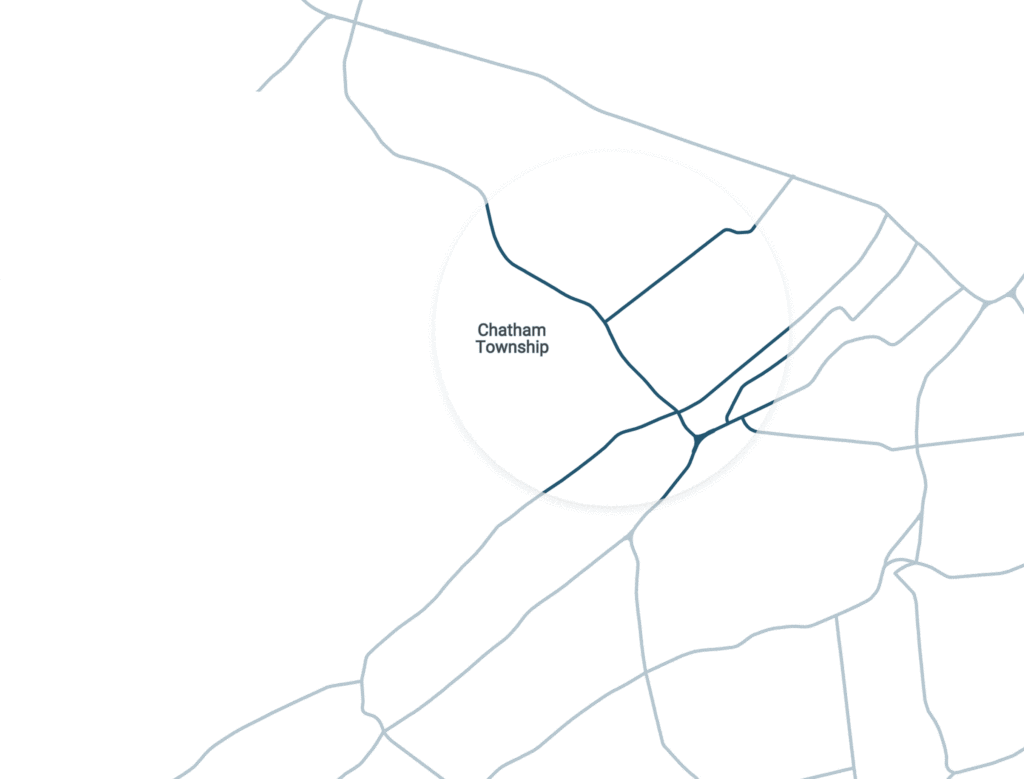 organic lawn care chatham township