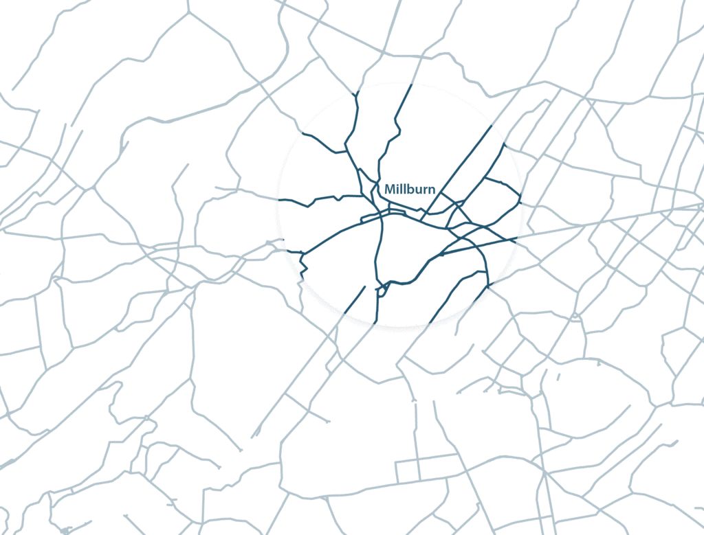 organic lawn care millburn