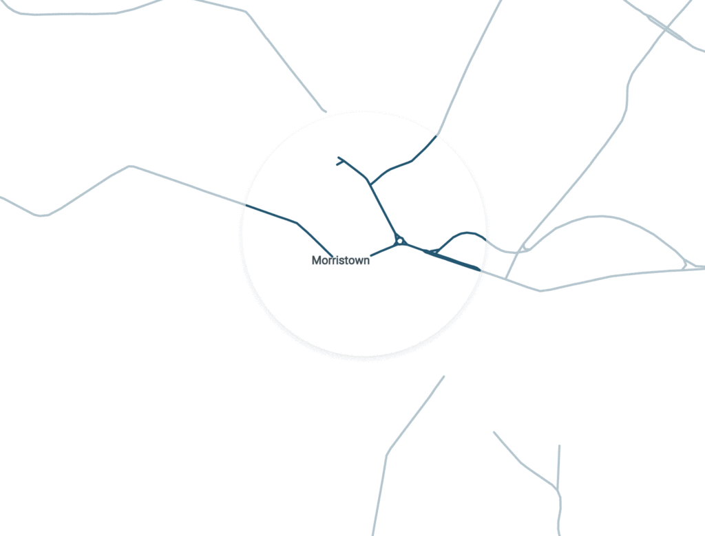 organic lawn care morristown