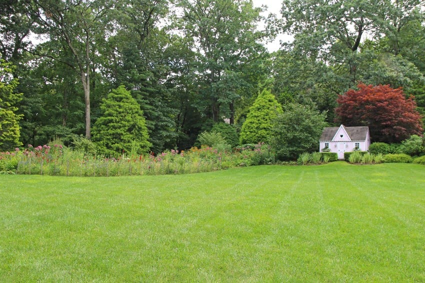 natural-lawn-care-services