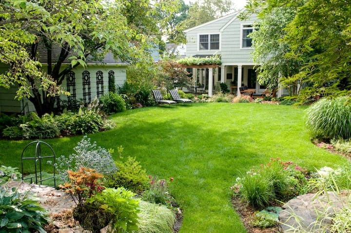 best-organic-lawn-care-company