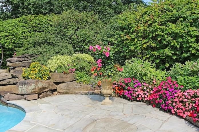 what-annuals-flower-all-summer