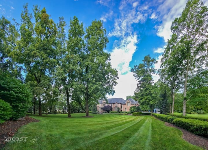 organic-lawn-fertilizer-services