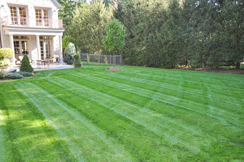 organic-lawn-care-in-bergen-county-nj