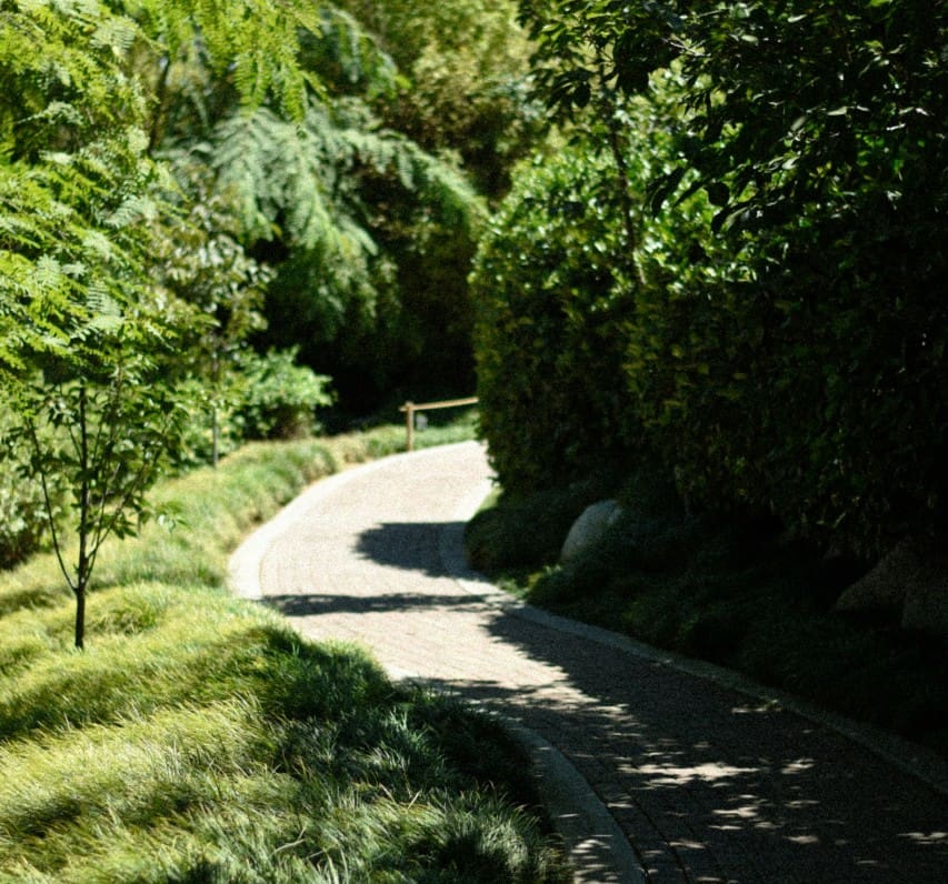 Whether you’ve designed a winding garden path or a wooded walking trail, regular backyard trail maintenance is essential to keeping it safe, beautiful, and functional year-round.