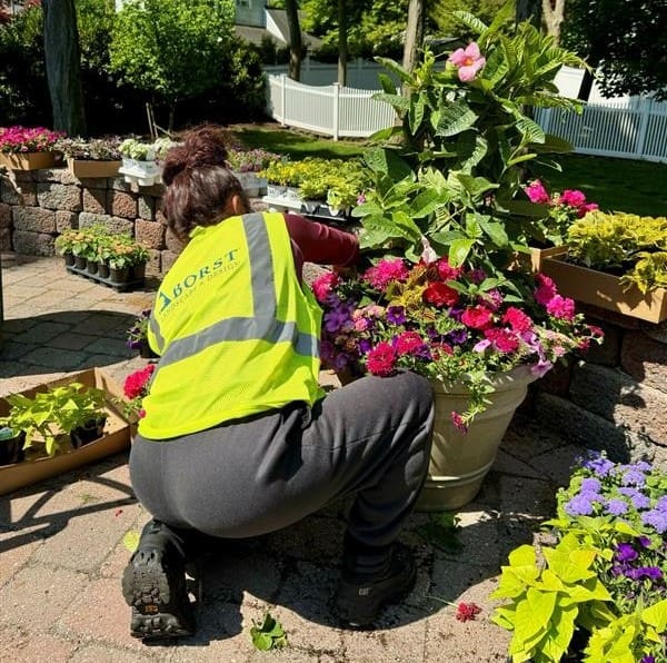 Learn how to keep plants alive in summer heat with expert tips from landscaping pros