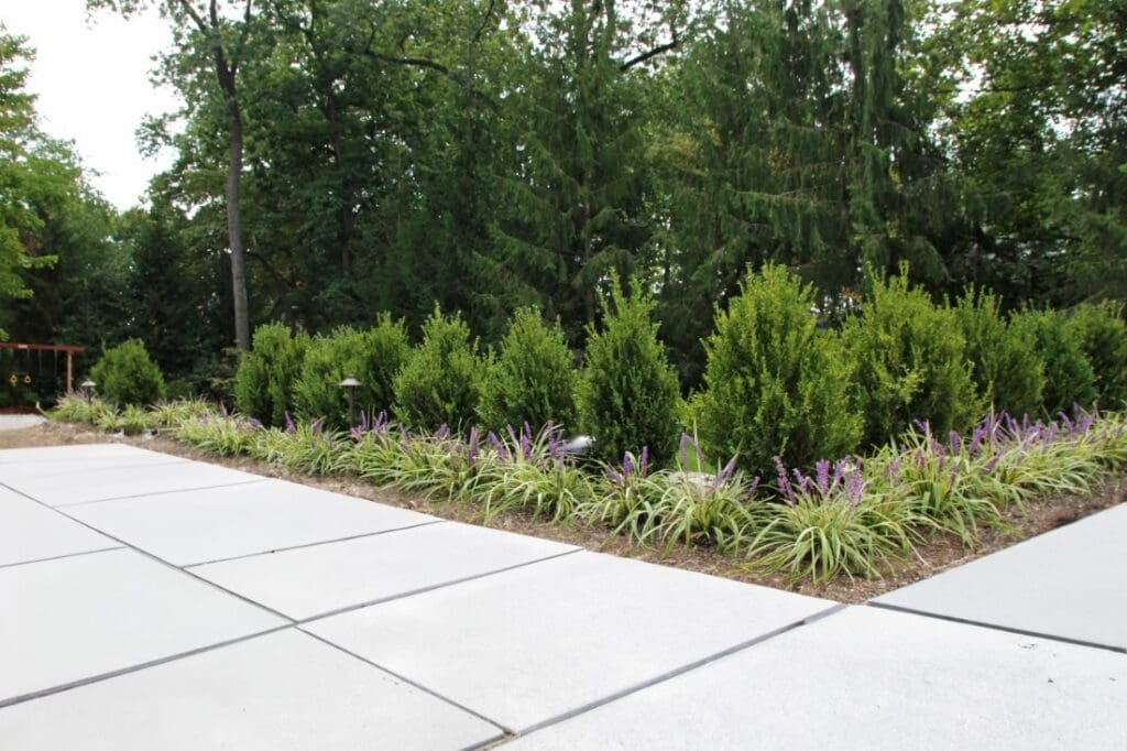 These low-maintenance landscaping ideas aren’t about doing less—they’re about doing more with less effort.