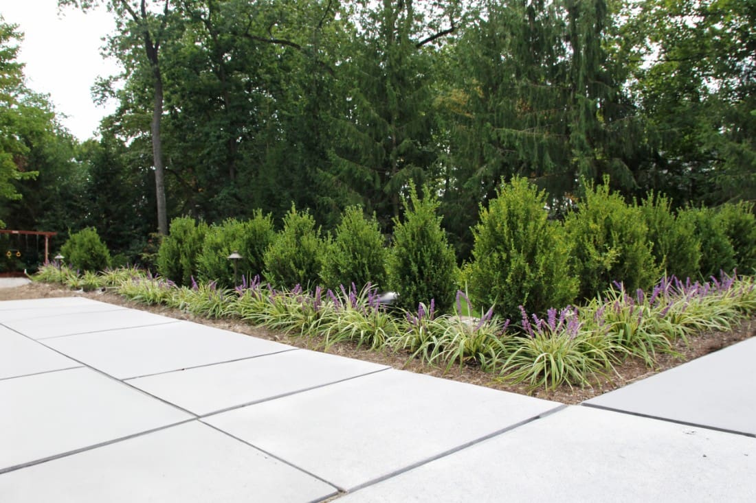 These low-maintenance landscaping ideas aren’t about doing less—they’re about doing more with less effort.