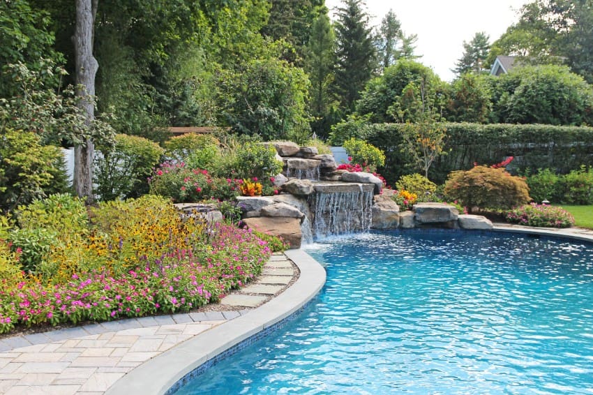 Whether you're looking to enhance privacy, add shade, or create a lush resort-style vibe, choosing the right poolside landscaping plants is key