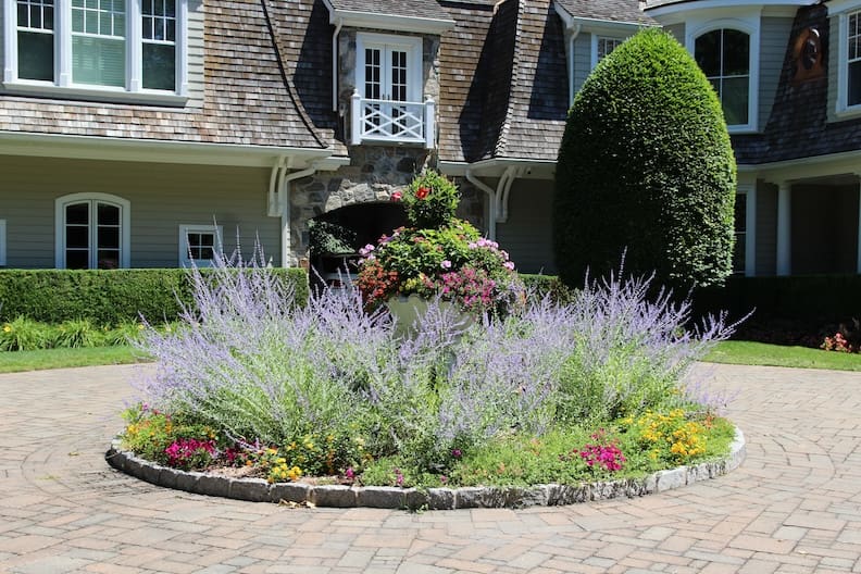 From watering techniques and mulch to pest control and pruning, these summer garden maintenance tips will help protect your landscape against heat, dryness, and seasonal stress.
