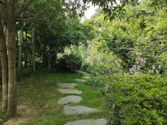 Stone pathway leading into a lush treed landscape, showcasing Borst's backyard trail ideas
