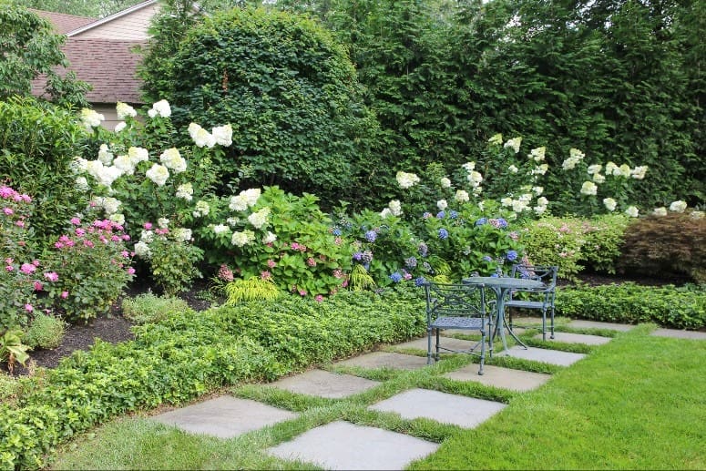 Lush backyard with flowering white hydrangeas showcasing Borst's eco-friendly landscape maintenance service
