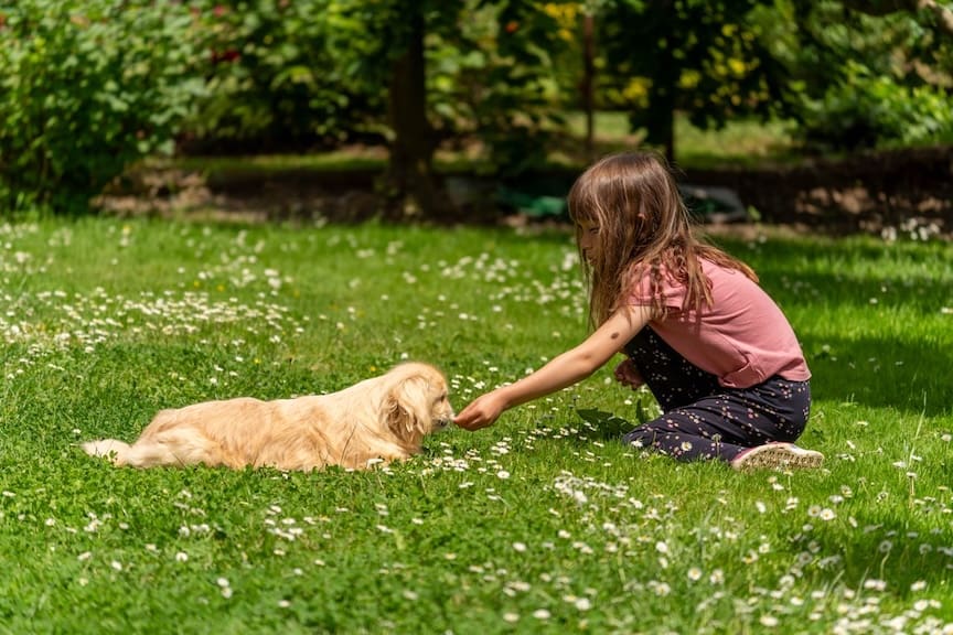 Young girl with a golden puppy sitting in lush grass, showcasing Borst's natural mosquito repellent for backyard safety