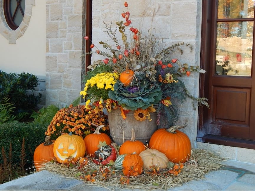 Conteneur de fleurs annuel d'automne présentant du chou ornemental et des mamans entourées de citrouilles orange sur un porche d'entrée