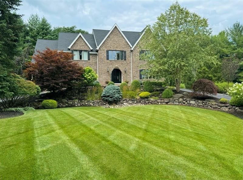 Learn essential lawn care basics for a healthier yard—mowing, watering, fertilizing, weed control, and seasonal maintenance.