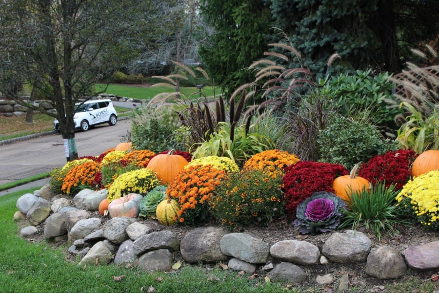Discover creative raised bed garden ideas perfect for small New Jersey backyards and urban spaces.