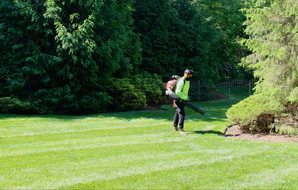Services d’entretien de pelouse à proximité : que rechercher chez un fournisseur fiable Services d’entretien de pelouse à proximité : que rechercher chez un fournisseur fiable