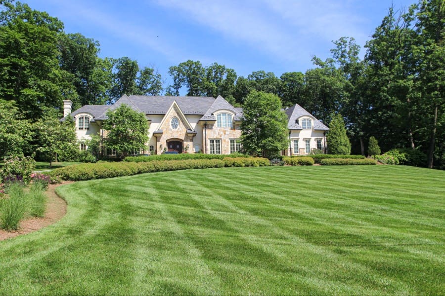 Find the best lawn fertilizer for spring to boost growth, strengthen roots, and achieve a lush, green lawn fast.