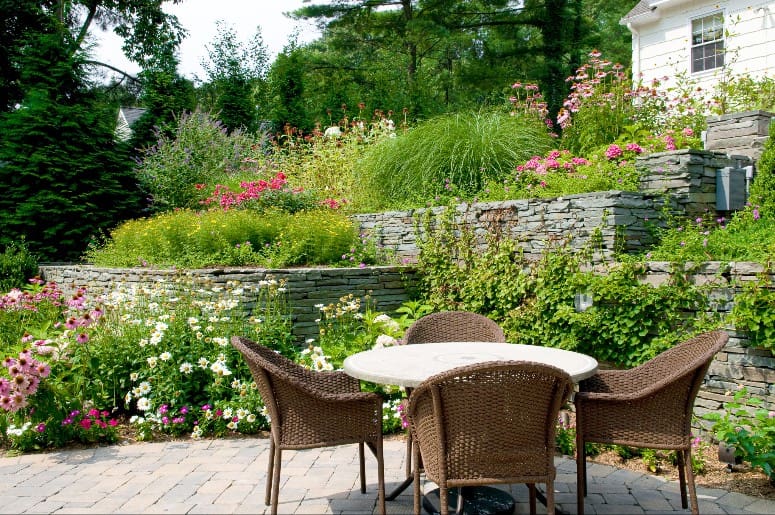 Discover the best plants for erosion control on slopes to stabilize soil and prevent costly landscape damage.