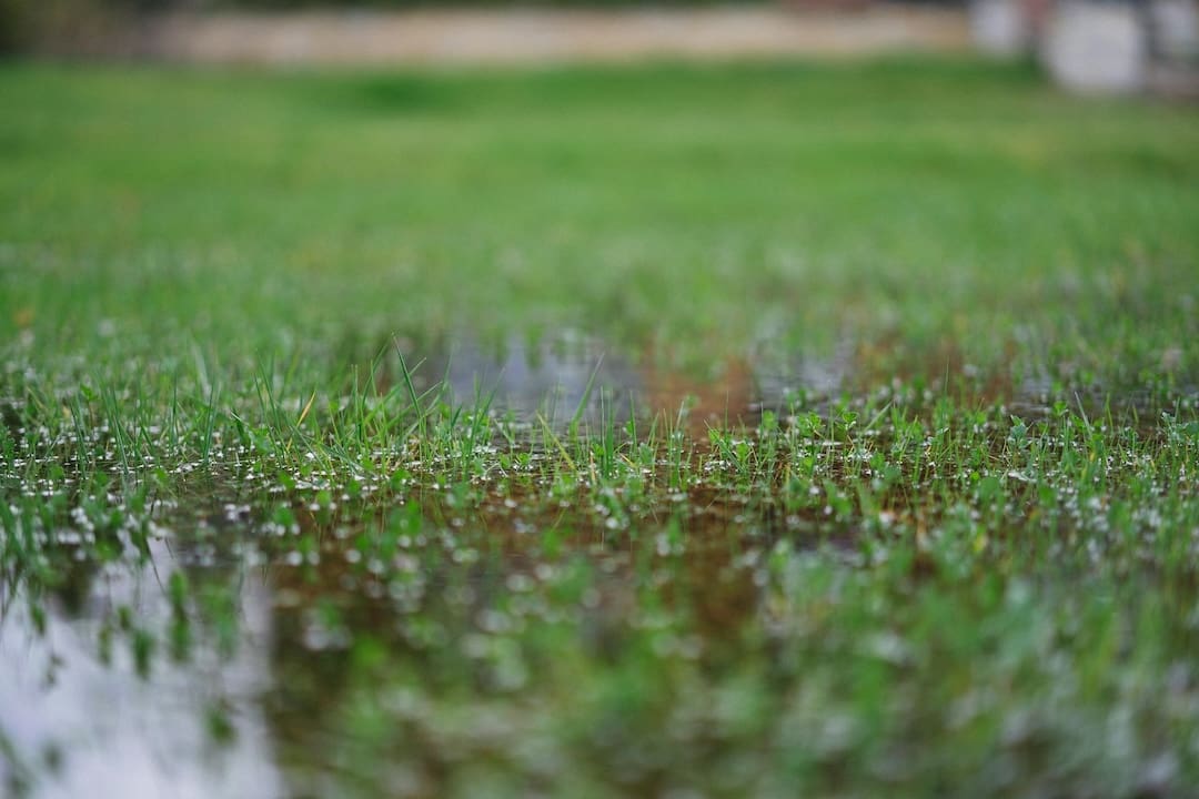Backyard drainage solutions for heavy rain — practical fixes to protect your property from puddles, erosion, and foundation damage.