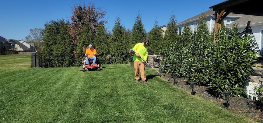 Summer landscape maintenance tips for Bergen County homeowners — keep your yard healthy all season with watering, mowing, and pest control.
