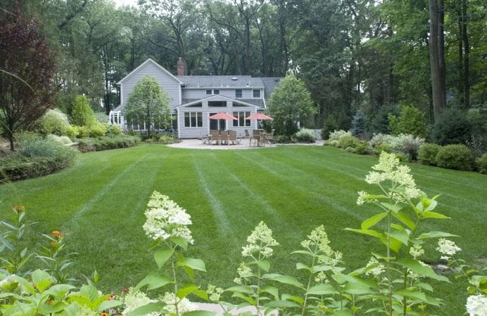 10 Common Lawn Problems New Jersey Homeowners Notice Before Winter