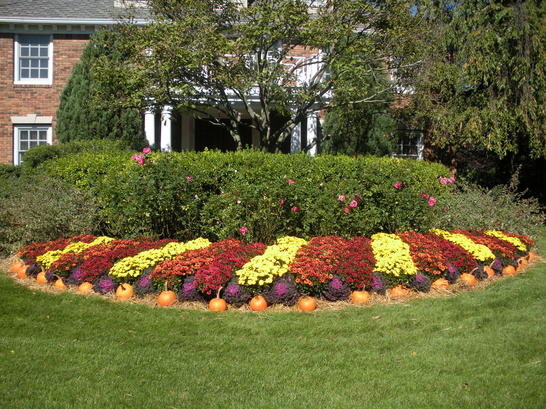 Fall Lawn Care in NJ 10 Tips